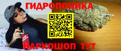 a pvp Гусь-Хрустальный