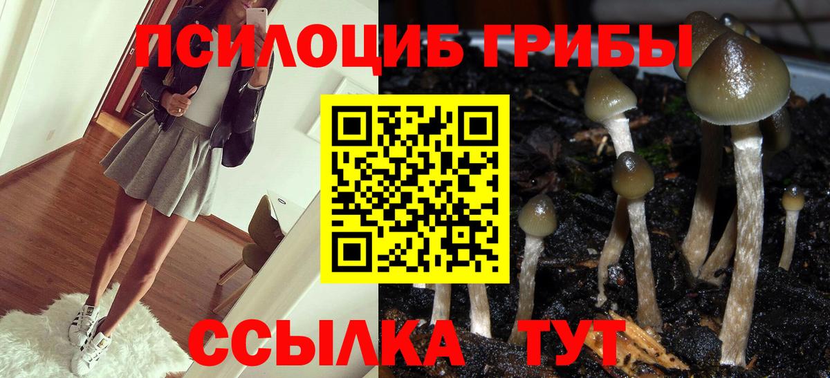 Галлюциногенные грибы мицелий  Псилоцибиновые грибы ЛСД  Вход с VPN  Михайловск 